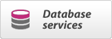 Database services